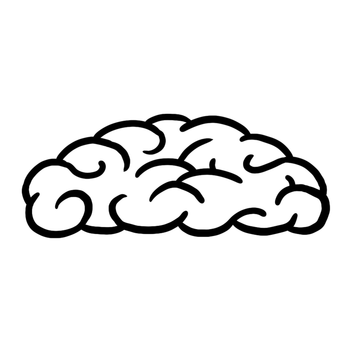 Brain