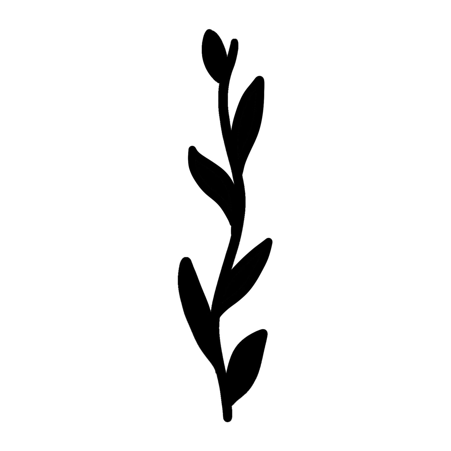 Branch