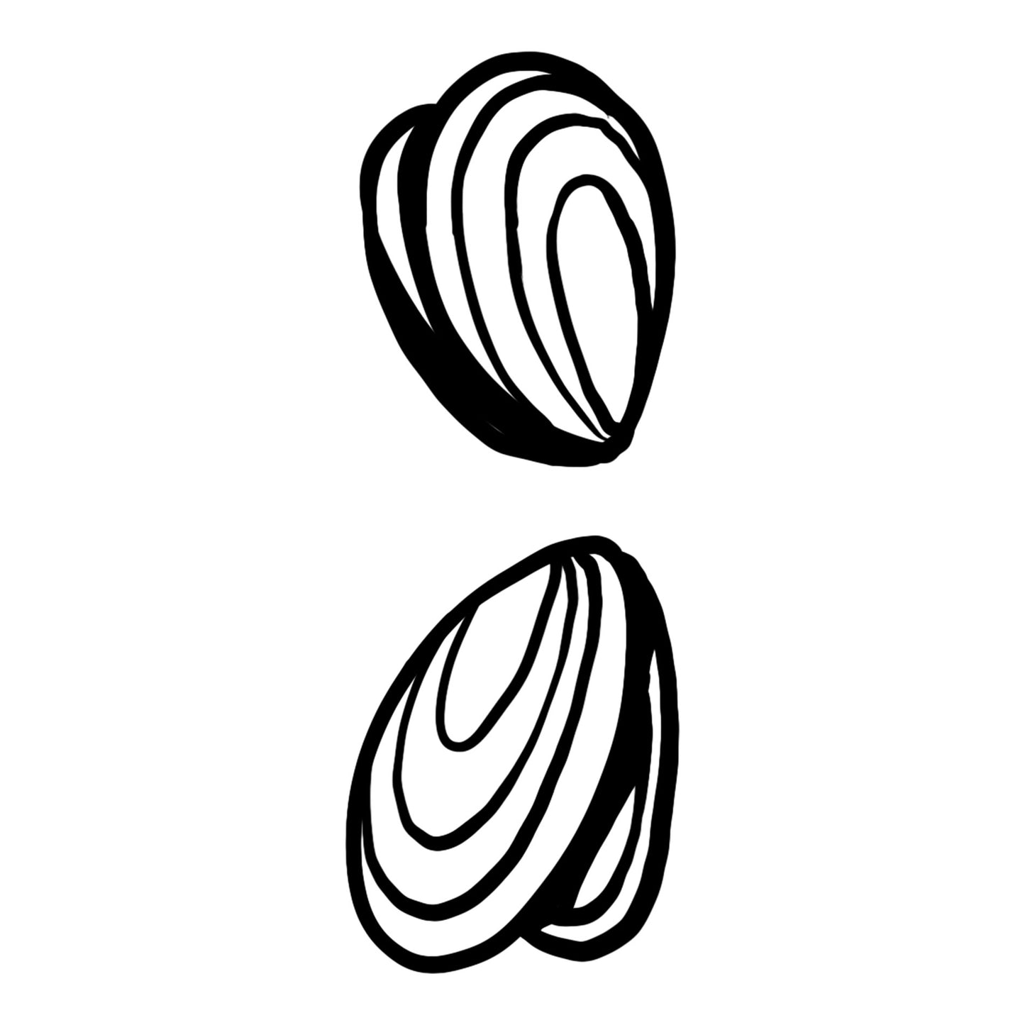 Clams