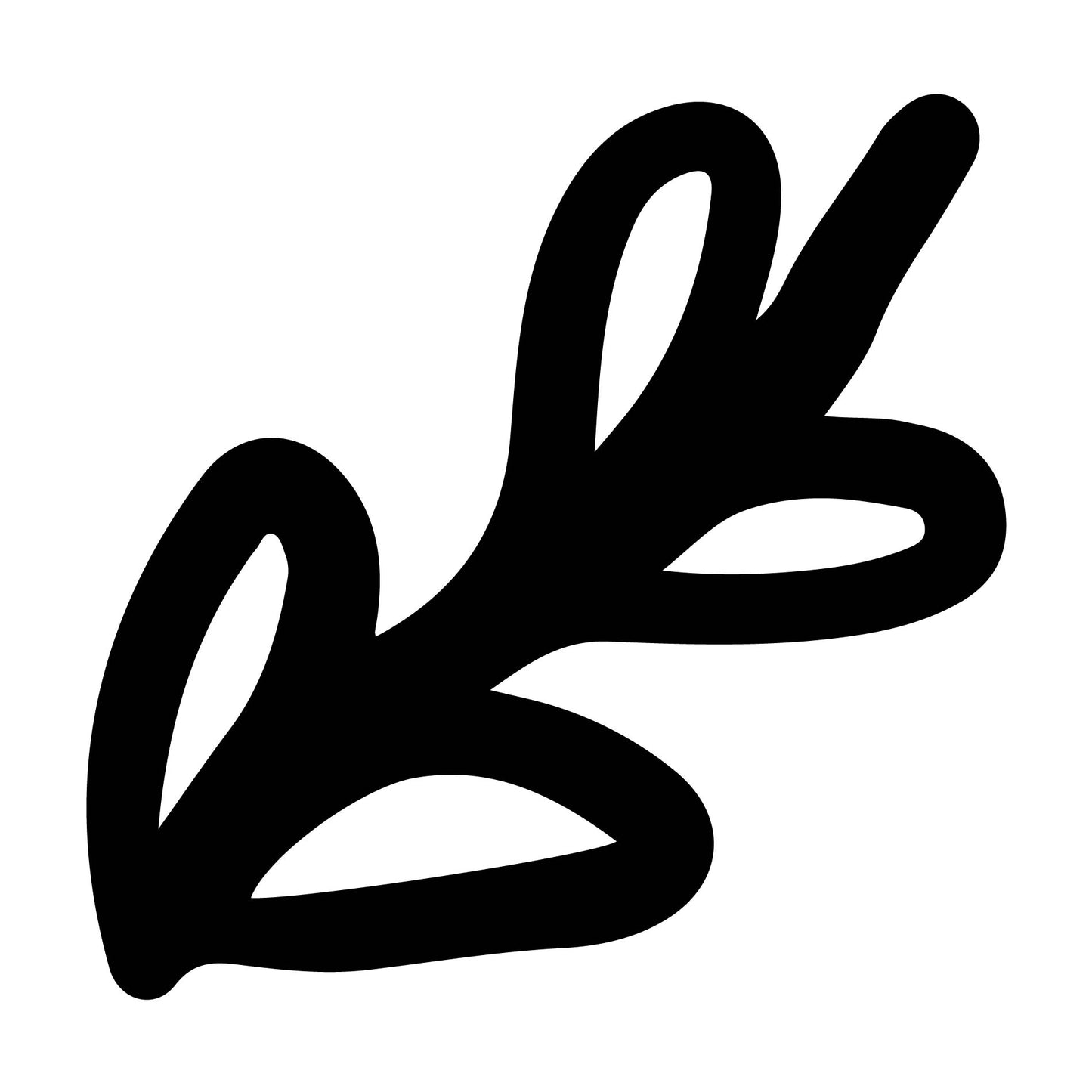 Laurel