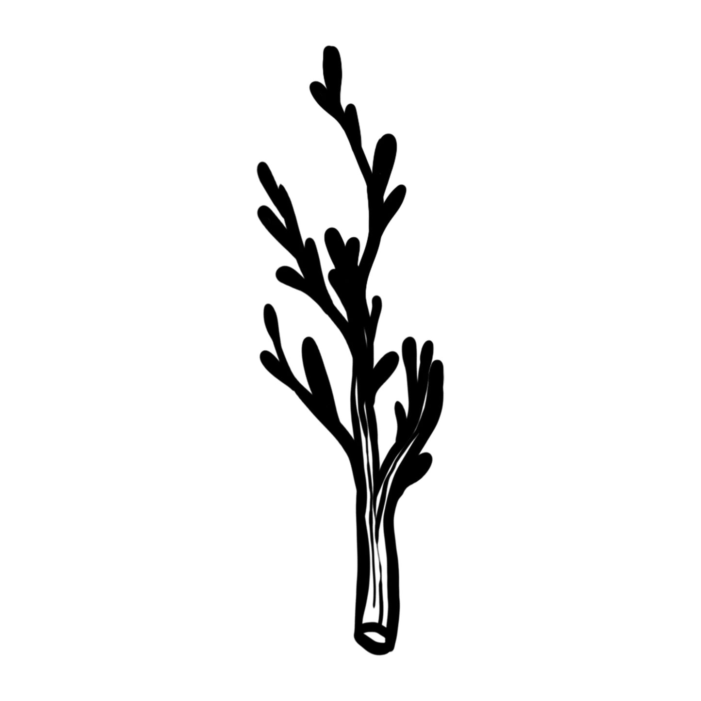 Palms