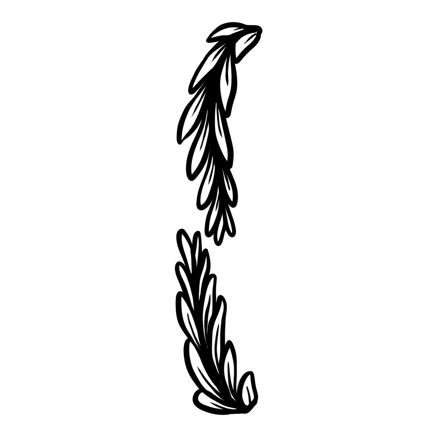 Palms