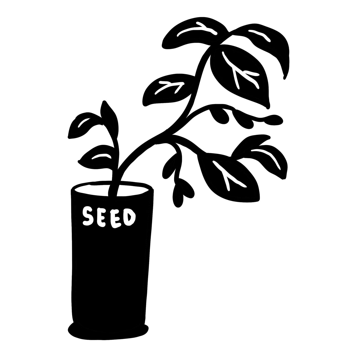 Seed
