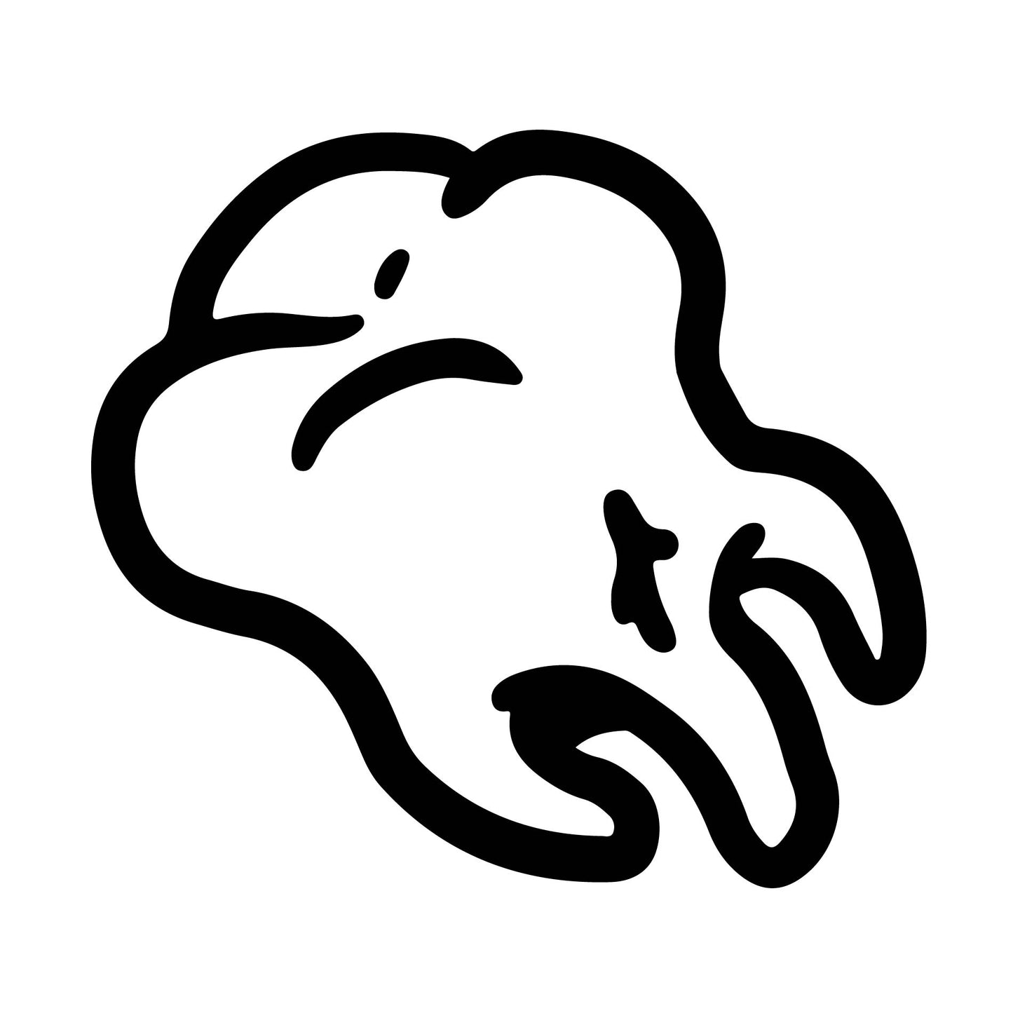Tooth