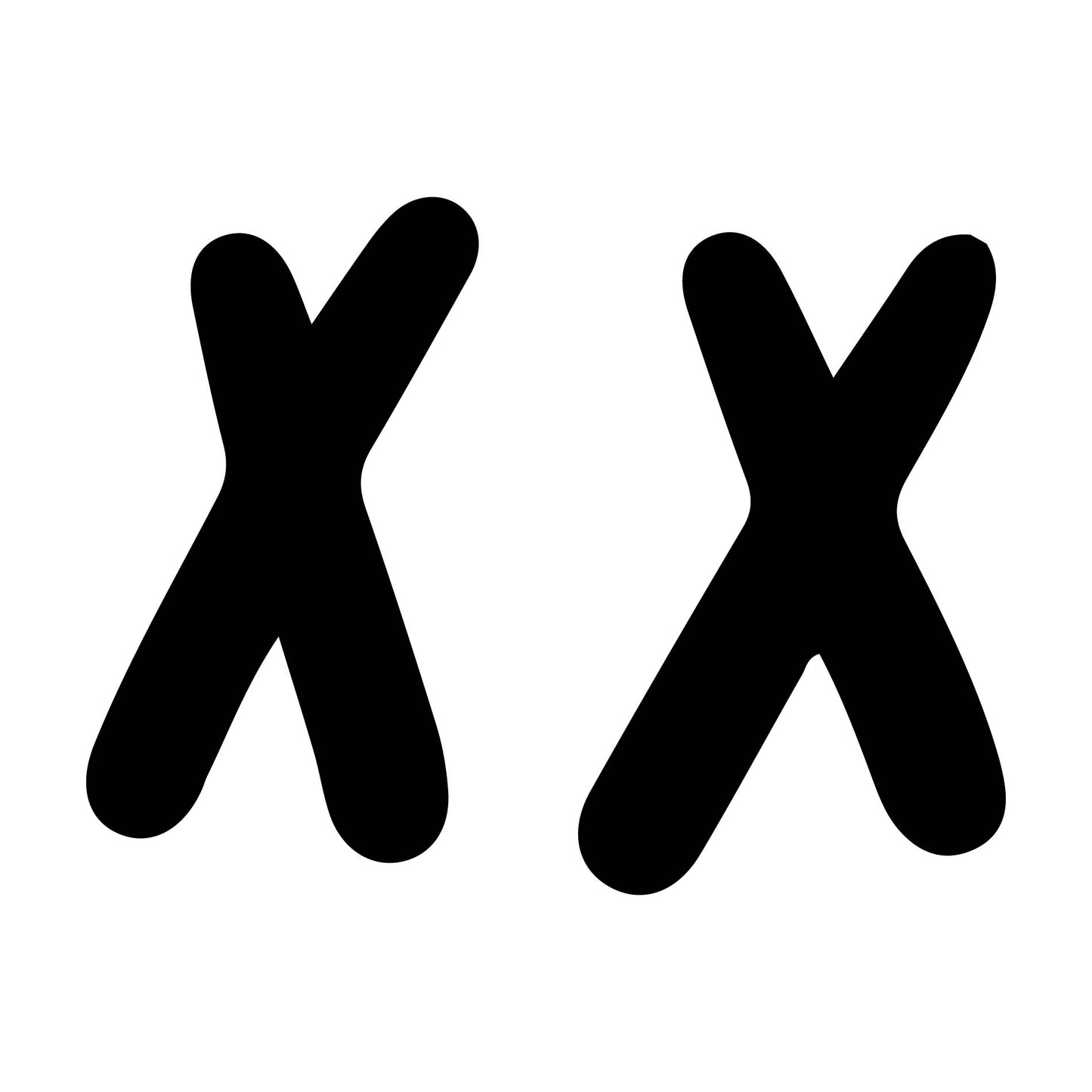 XX