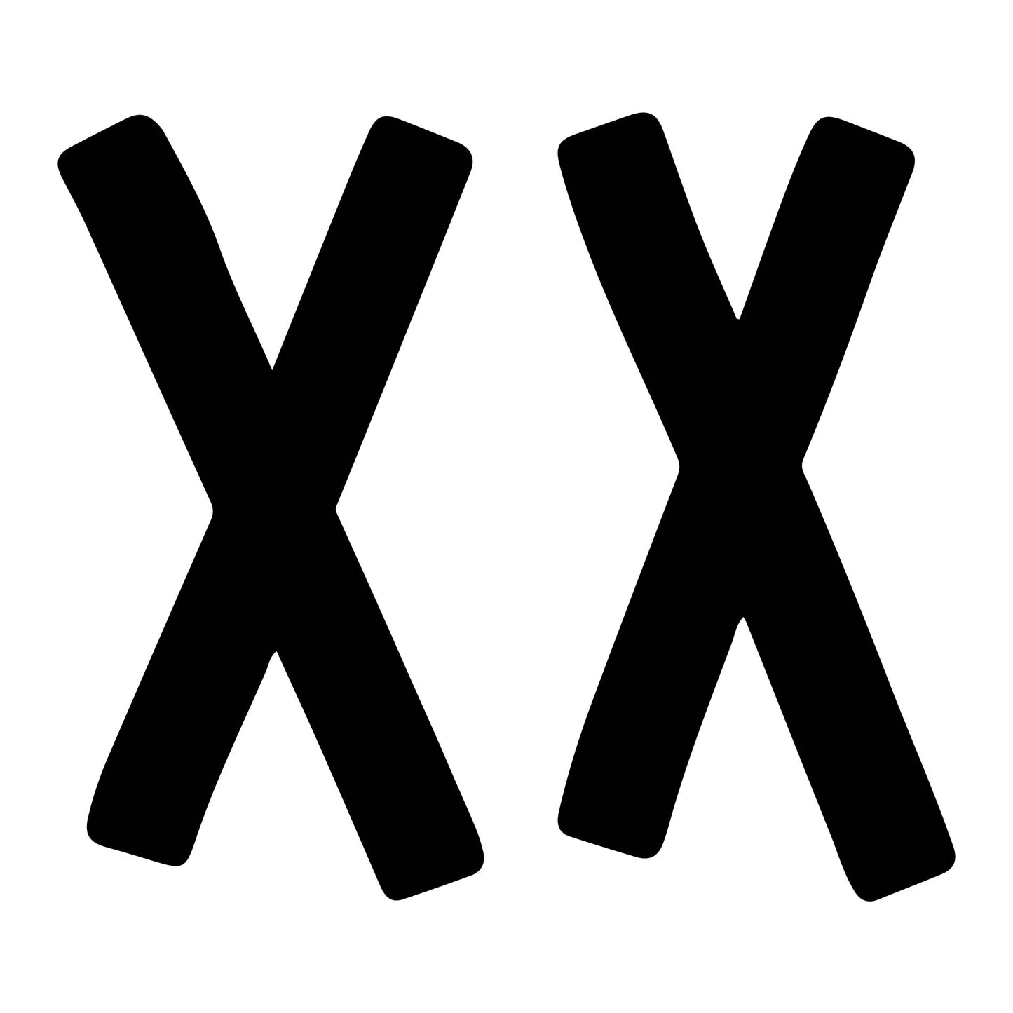 XX 2
