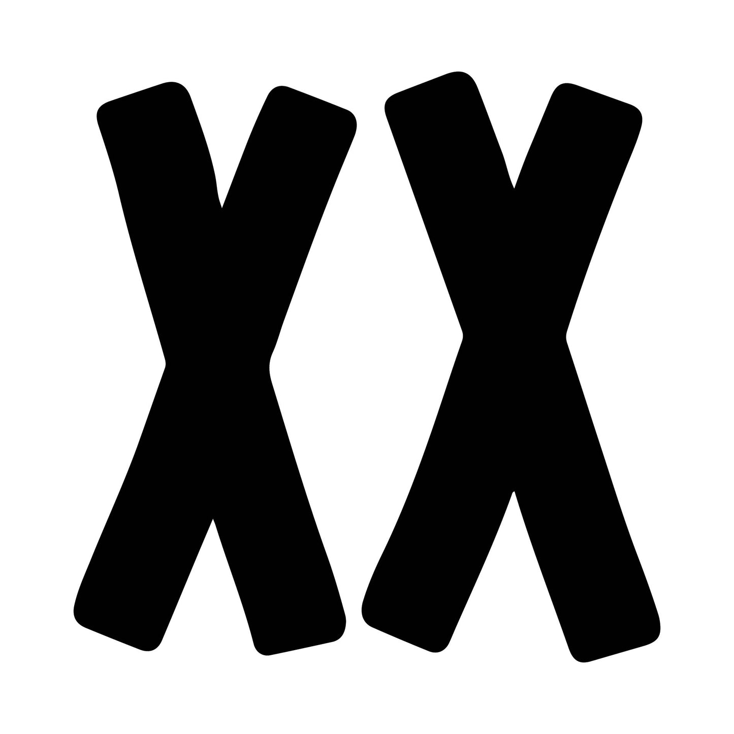 XX 3